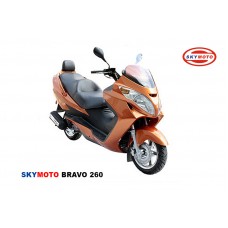 Bravo 260