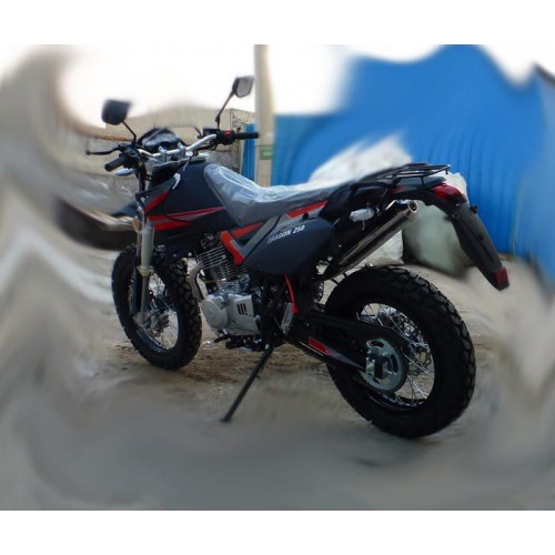 Dragon 250